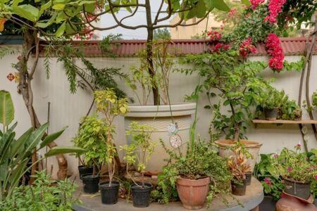Eden Garden Villa By Jadecaps Nr Mg Road Garden Бенґалуру Екстер'єр фото