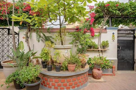 Eden Garden Villa By Jadecaps Nr Mg Road Garden Бенґалуру Екстер'єр фото